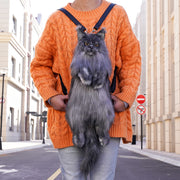 Solid Black Maine Coon Backpack