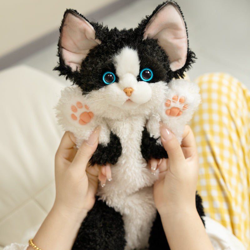 Solid Black Devon Rex Cat Backpack